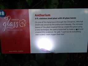Anthuriums