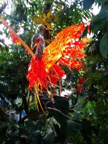 Legendary Phoenix