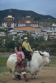 Singing Yak Herder in Shangri La