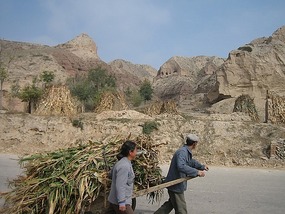 Cave Dwellings on Road to Lanzhou