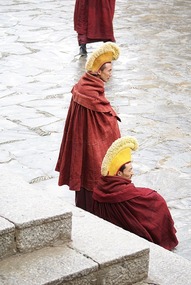 Cockscomb Hats