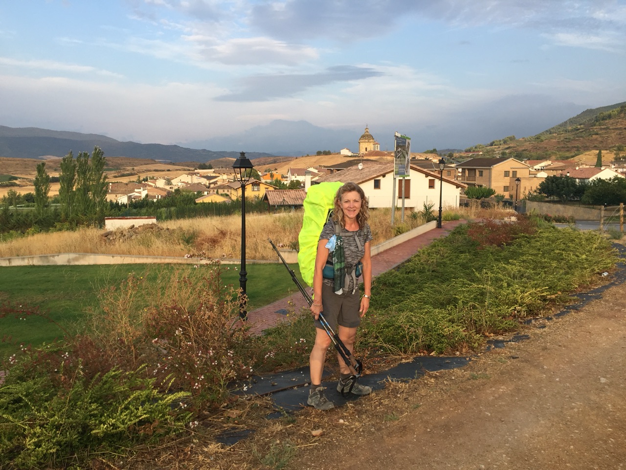 Vineyards And Olive Trees