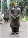 Terra Cotta Warrior Brennan