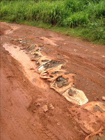 Road to the Camp Site
