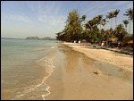 Beach life