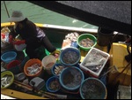 Catch Of The Day