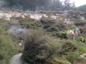 Thermal Walk