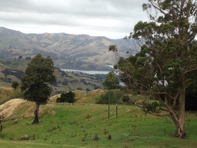 Looking Down Towards Akaroa