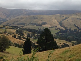 Top Of Banks Peninsula