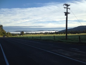 Long White Cloud Ahead!