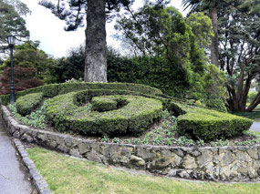 Wellington Botanical Garden