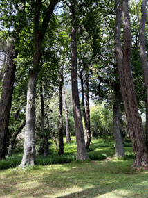 Gwavas Garden