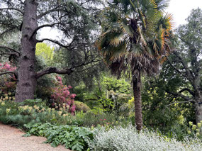 Gisborne Arboretum