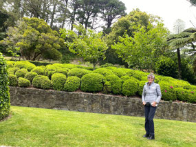 Wellington Botanical Garden