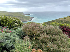Fishermans bay garden