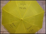 The Traveling Umbrella