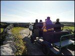 A pony cart tour