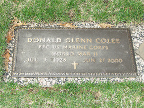 My Biological Father's Grave
