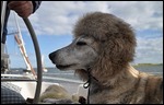 Bella Safarovic, in her favourite hat.
