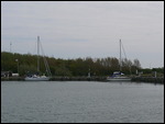 Sparsely Occupied Gedser Marina