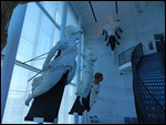 Fine Figureheads