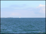 Many boats enjoying lovely downwind sailing