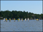 Colourful Optimist Sails with young Sailors