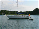 Spiriwit, with Ed approaching