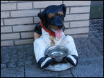 For Thirsty Dogs