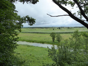 The Biebrza river with marshland beyond