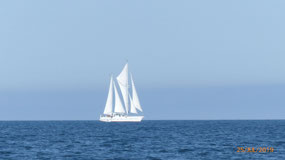 Elegant & unusual sail plan, see wishbone boom