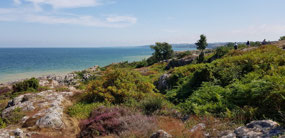 View to the south