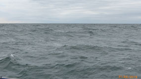 Grey seas & skies