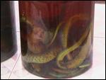 Anyone for pickled snake ?!