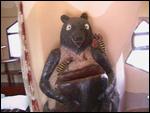A bear in the Crazy House