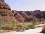 Bee-hive bungles