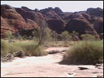 Bungle Bungles on the ground