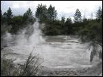 Geothermal mud pools near Rotorua
