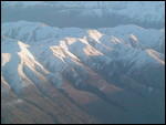 First sighting of NZ
