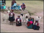 Local women watching the world go by
