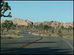 Driving through the Joshua Tree national park