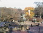 Central Park on an autumn day