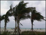 South Beach on a windy day