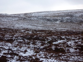An alien landscape. Cold - the wind is relentless.