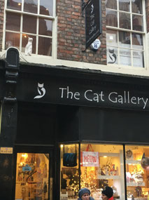 Cute Cats on Shops in York