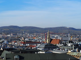 View of Vienna from Roof of St. Stephen's.