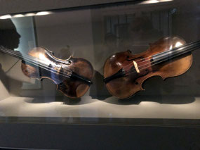 Guitars in Mozarthaus