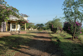 Lake Langano