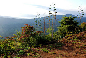 Drive from Arba Minch - Ethiopia