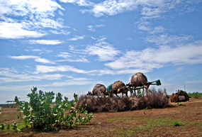 Visit to Dasenech in Omorate